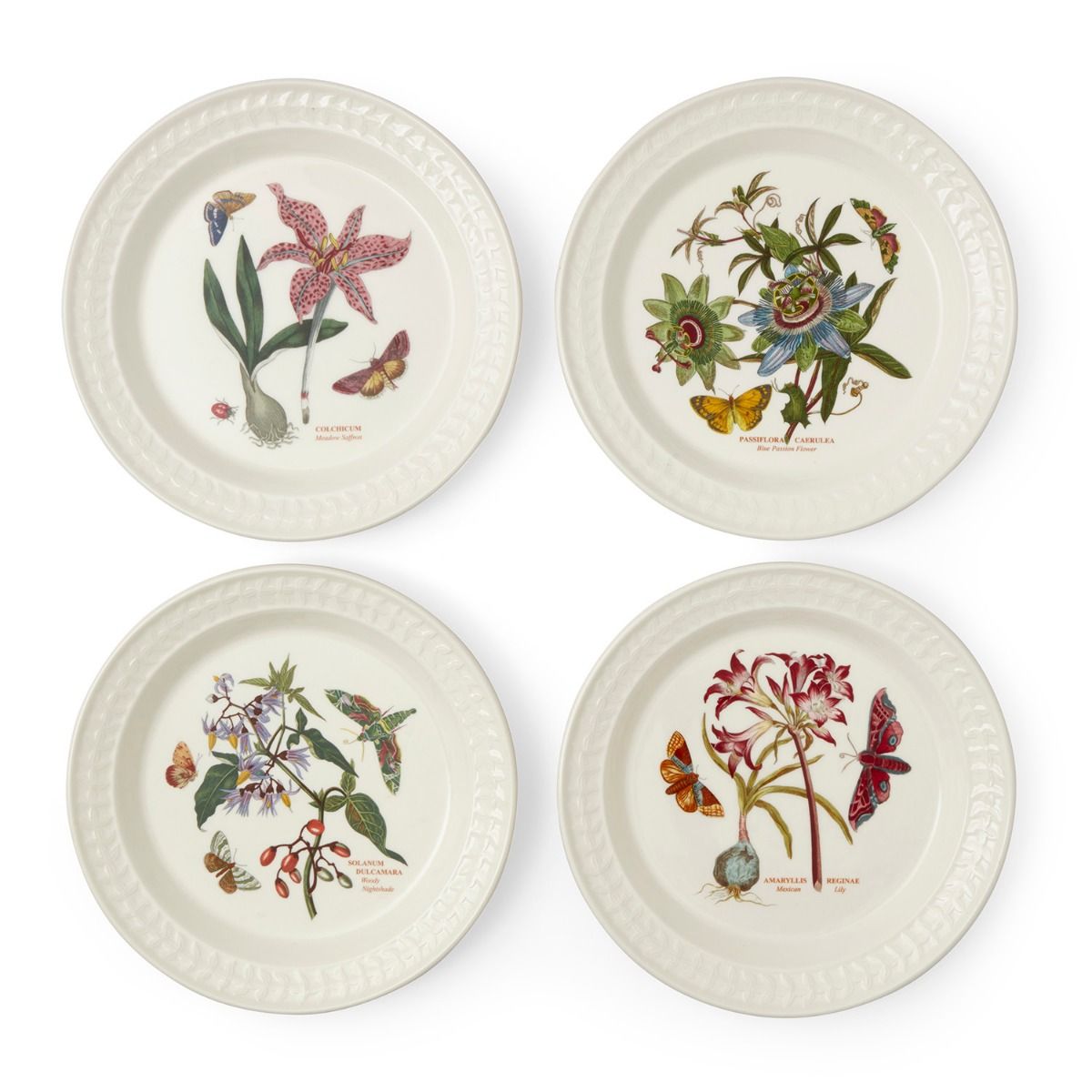 Botanic Garden Harmony Papilio Dinner Plates Set of 4 (Assorted) image number null